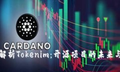 全面解析Tokenim：开源项目
