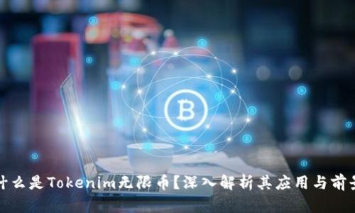 什么是Tokenim无限币？深入解析其应用与前景