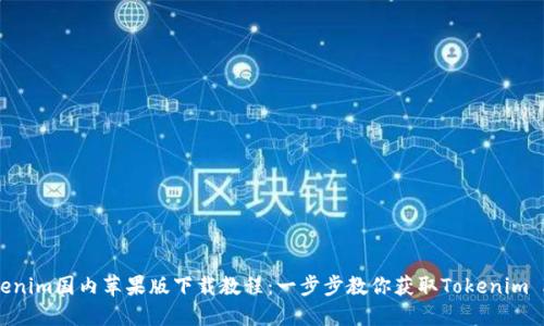Tokenim国内苹果版下载教程：一步步教你获取Tokenim APP