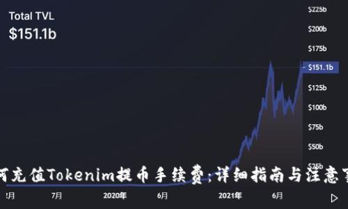 如何充值Tokenim提币手续费：详细指南与注意事项
