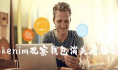 如何解决Tokenim观察钱包消