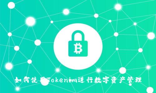 如何使用Tokenim进行数字资产管理
