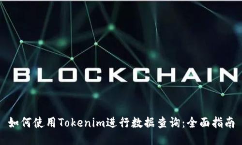 如何使用Tokenim进行数据查询：全面指南