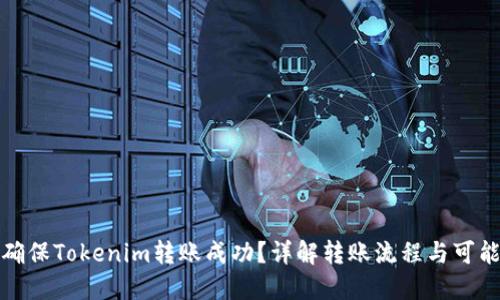 如何确保Tokenim转账成功？详解转账流程与可能问题