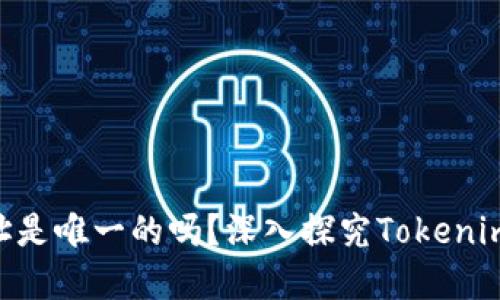 Tokenim地址是唯一的吗？深入探究Tokenim的地址系统