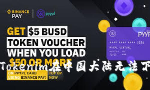 如何解决Tokenim在中国大陆无法下载的问题