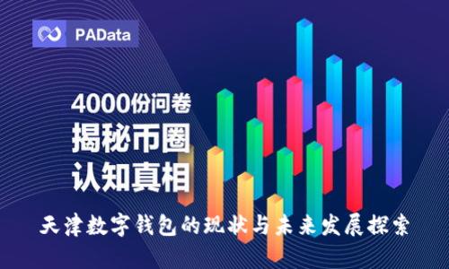 天津数字钱包的现状与未来发展探索