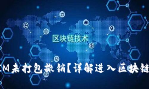 什么是TokenIM未打包撤销？详解进入区块链的深层次知识