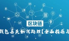 : 区块链钱包丢失如何处理？全面指南