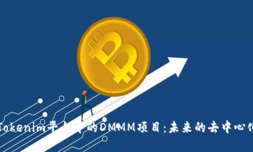 深入分析Tokenim平台中的DMMM项目：未来的去中心化金融生态